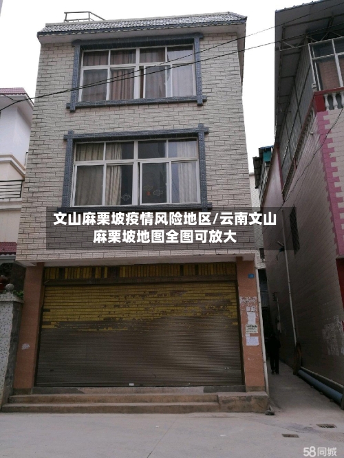 文山麻栗坡疫情风险地区/云南文山麻栗坡地图全图可放大