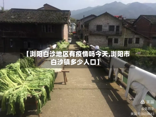 【浏阳白沙地区有疫情吗今天,浏阳市白沙镇多少人口】-第2张图片