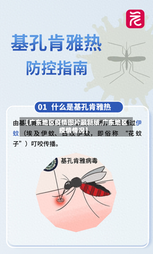 【广东地区疫情图片最新版,广东地区疫情情况】-第2张图片