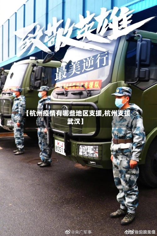 【杭州疫情有哪些地区支援,杭州支援武汉】-第2张图片