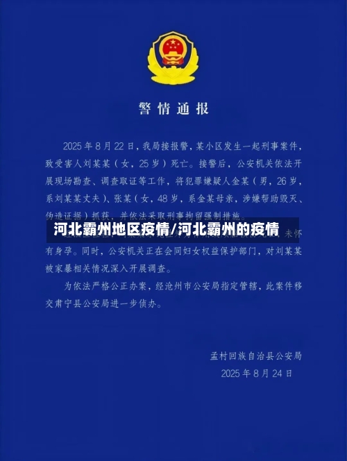 河北霸州地区疫情/河北霸州的疫情-第1张图片