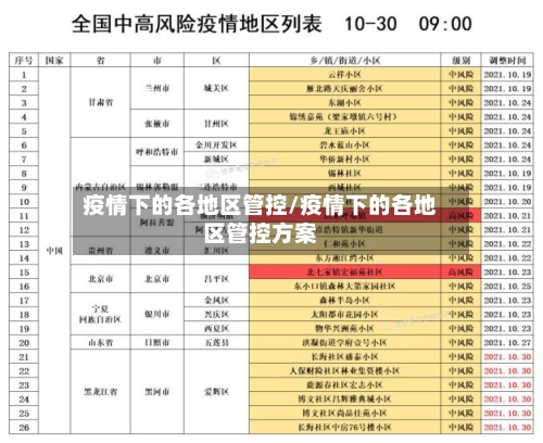 疫情下的各地区管控/疫情下的各地区管控方案-第2张图片