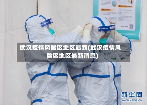 武汉疫情风险区地区最新(武汉疫情风险区地区最新消息)-第3张图片