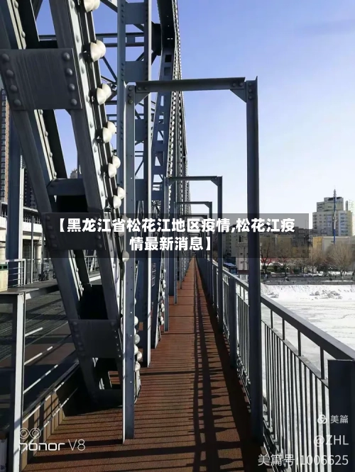 【黑龙江省松花江地区疫情,松花江疫情最新消息】-第3张图片