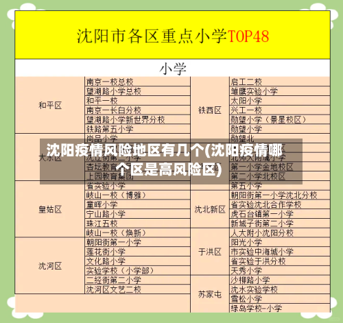 沈阳疫情风险地区有几个(沈阳疫情哪个区是高风险区)-第1张图片