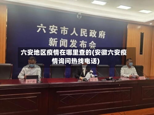 六安地区疫情在哪里查的(安徽六安疫情询问热线电话)-第1张图片