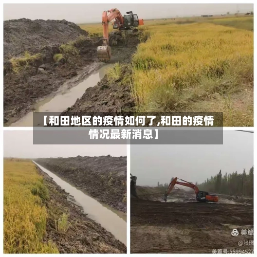 【和田地区的疫情如何了,和田的疫情情况最新消息】-第2张图片