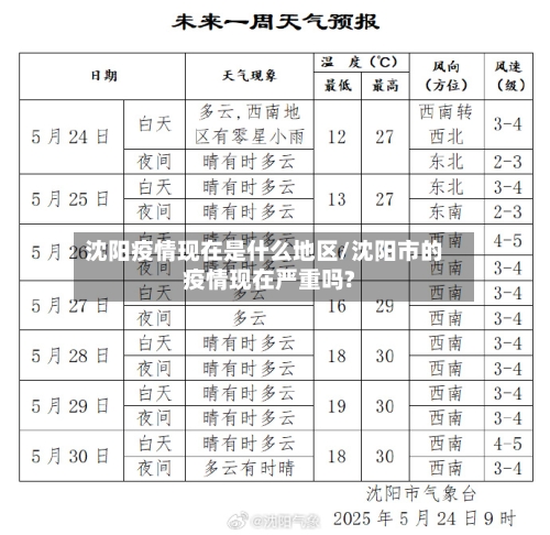 沈阳疫情现在是什么地区/沈阳市的疫情现在严重吗?-第2张图片