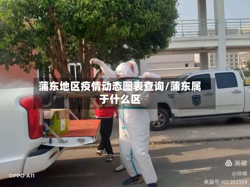 蒲东地区疫情动态图表查询/蒲东属于什么区-第1张图片