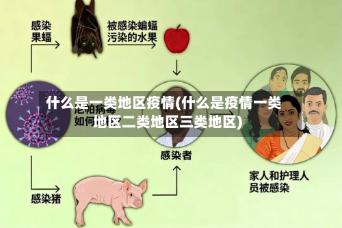 什么是一类地区疫情(什么是疫情一类地区二类地区三类地区)-第1张图片