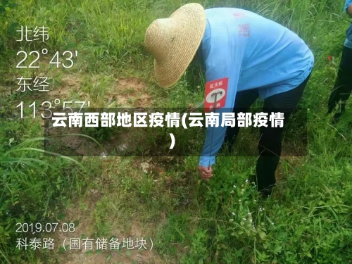 云南西部地区疫情(云南局部疫情)-第2张图片