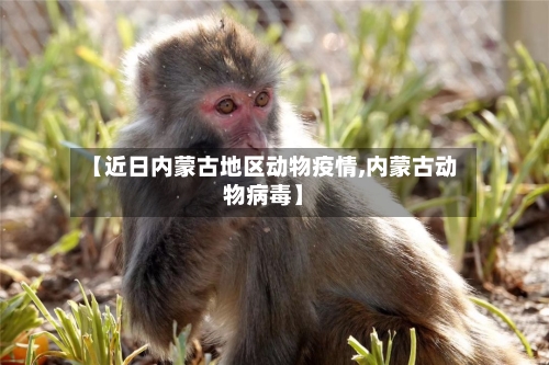 【近日内蒙古地区动物疫情,内蒙古动物病毒】-第1张图片