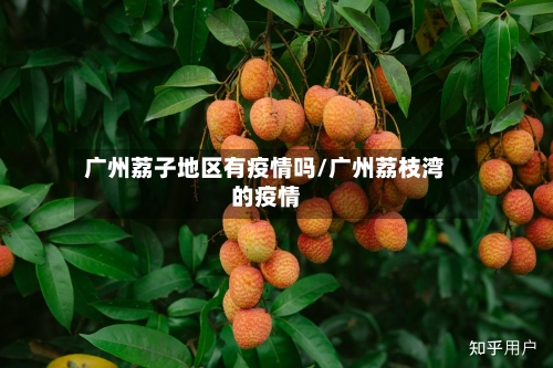 广州荔子地区有疫情吗/广州荔枝湾的疫情-第2张图片