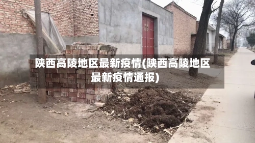 陕西高陵地区最新疫情(陕西高陵地区最新疫情通报)-第2张图片