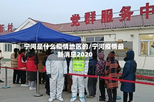 宁河是什么疫情地区的/宁河疫情最新消息2020-第3张图片