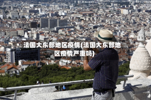 法国大东部地区疫情(法国大东部地区疫情严重吗)-第3张图片