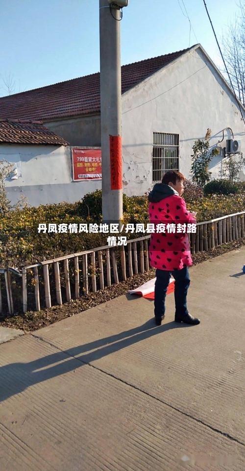 丹凤疫情风险地区/丹凤县疫情封路情况-第3张图片