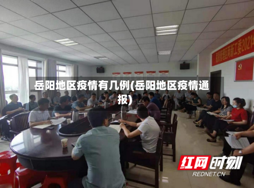 岳阳地区疫情有几例(岳阳地区疫情通报)-第1张图片