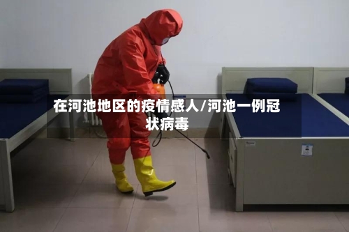 在河池地区的疫情感人/河池一例冠状病毒-第1张图片