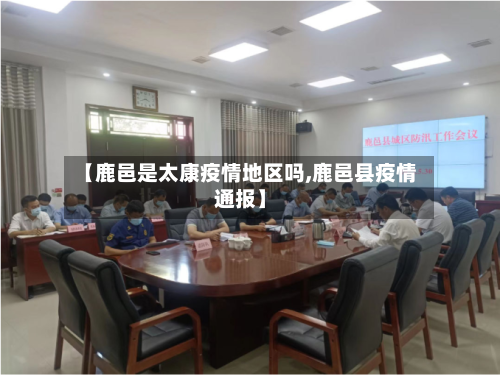 【鹿邑是太康疫情地区吗,鹿邑县疫情通报】-第3张图片