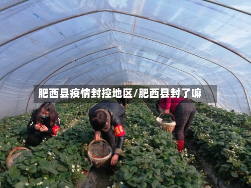 肥西县疫情封控地区/肥西县封了嘛-第1张图片