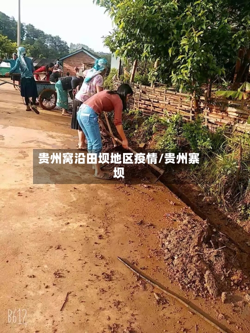 贵州窝沿田坝地区疫情/贵州寨坝-第3张图片