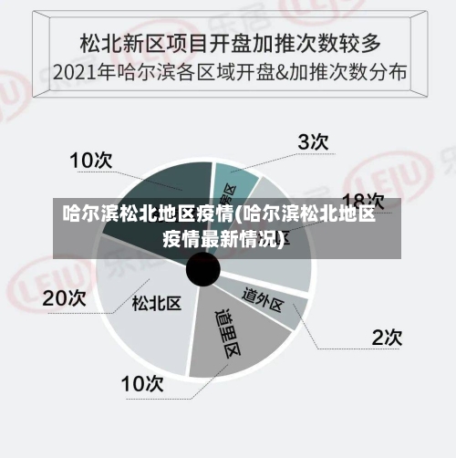 哈尔滨松北地区疫情(哈尔滨松北地区疫情最新情况)-第1张图片