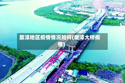 厦漳地区疫情情况如何(厦漳大桥疫情)-第2张图片