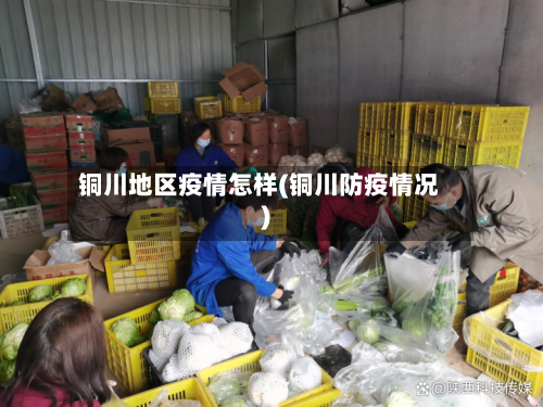 铜川地区疫情怎样(铜川防疫情况)-第2张图片